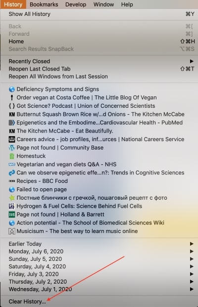 clear history in safari option clear history in safari option