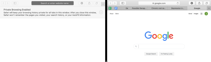 safari incognito window and normal window in split screen safari incognito window and normal window in split screen