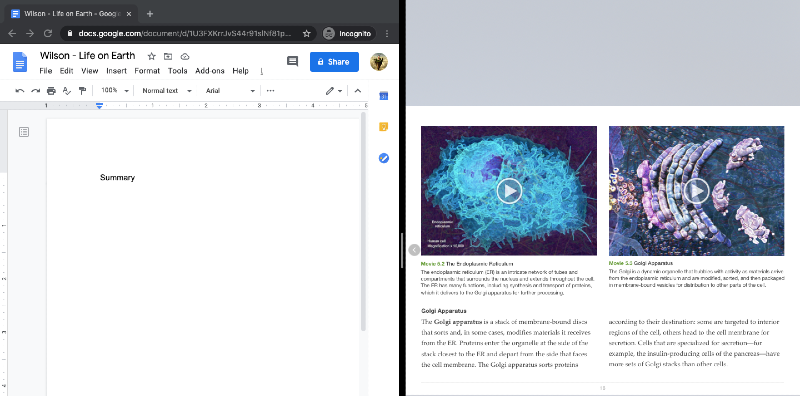 two windows open on a mac in split screen mode two windows open on a mac in split screen mode