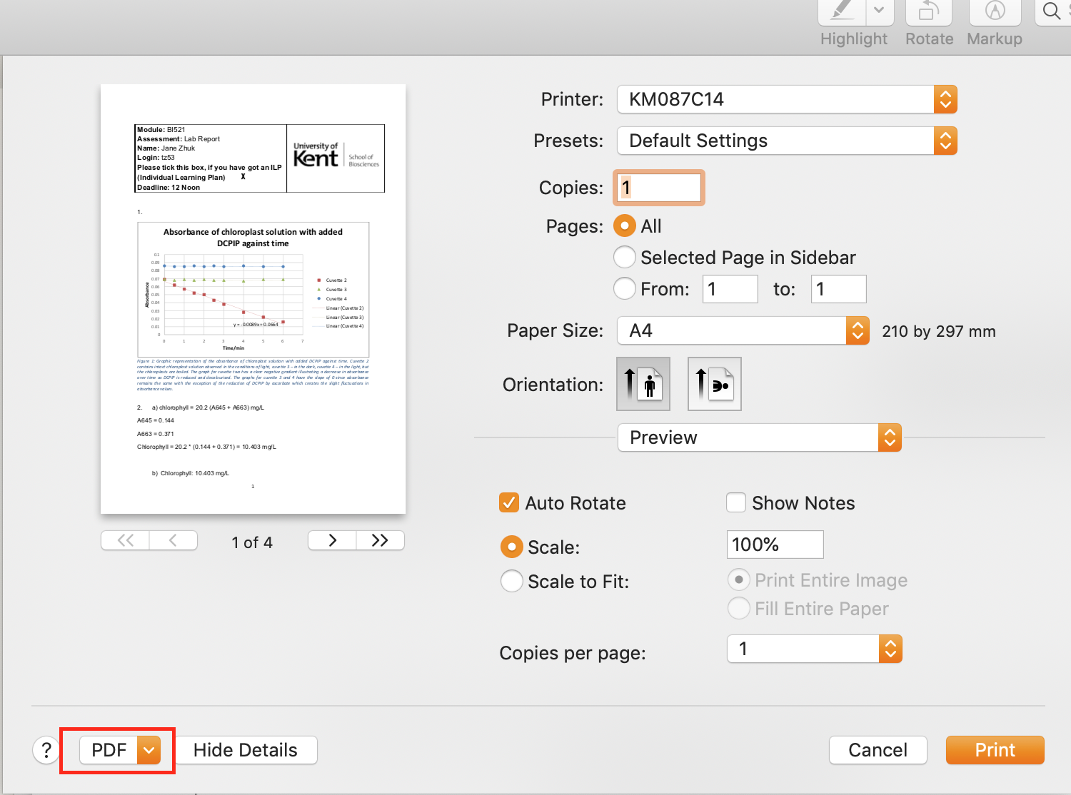 print PDF document - save as PDF print PDF document - save as PDF