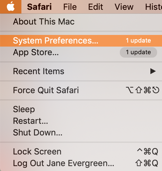 open system preferences from apple menu open system preferences from apple menu