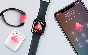 Data Risks from Popular Smart Gadgets Data Risks from Popular Smart Gadgets