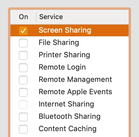 activate screen sharing mode with screen sharing checkbox