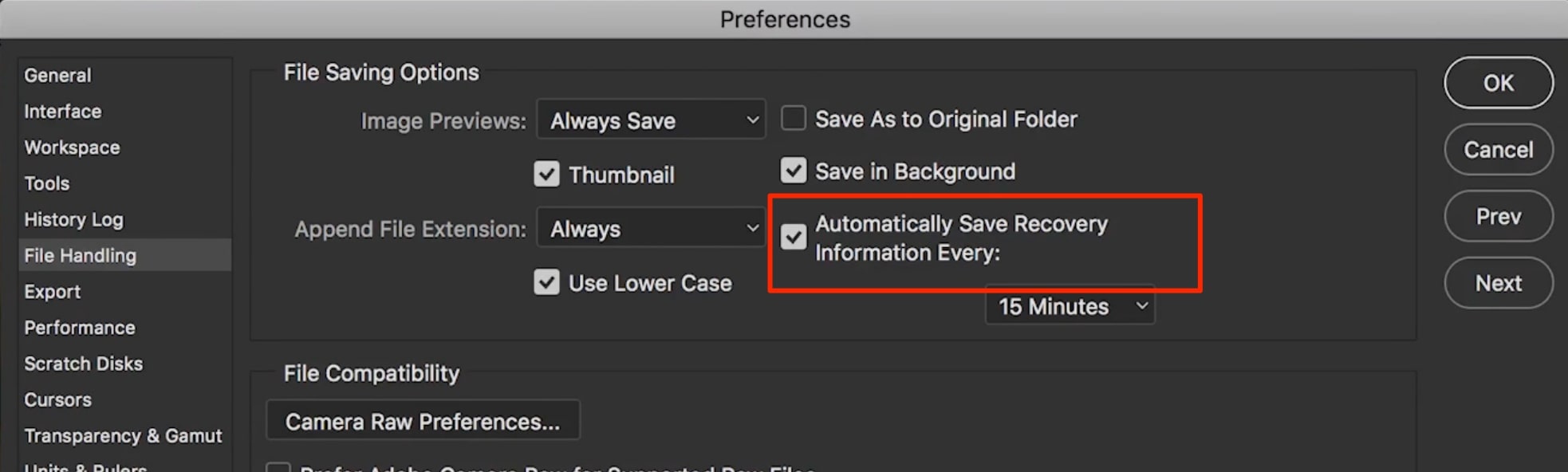 automatically save recovery information every option tickes automatically save recovery information every option tickes