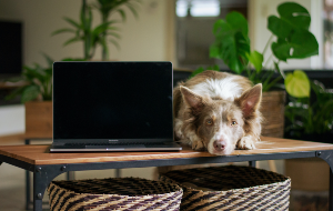 3 Smart Ways to Delete Movies from Your Mac 3 Smart Ways to Delete Movies from Your Mac