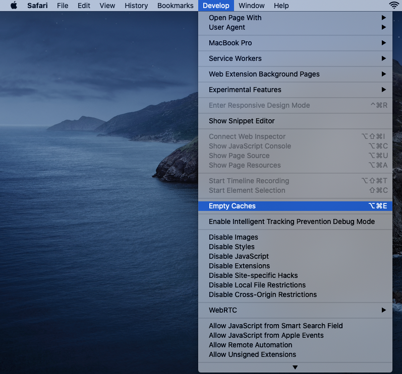 safari develop menu expanded safari develop menu expanded